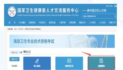 2023年河北卫生系列高级专业技术资格实践技能考试成绩查询通知——兼论信息技术咨询服务与卫生人才发展的协同效应