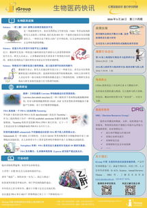 长煦信息技术咨询 赋能企业数字化未来